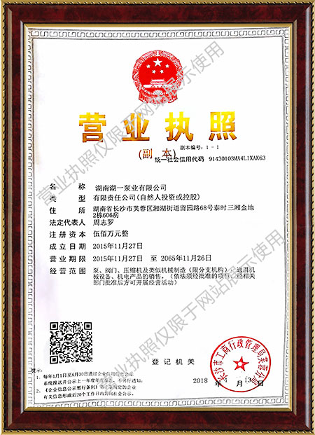 工業(yè)蒸汽鍋爐給水泵,雙吸水平中開(kāi)式離心泵,湖南湖一泵業(yè)有限公司